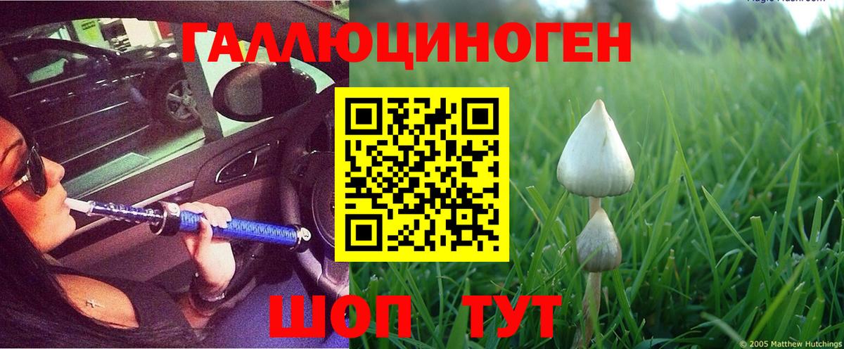 Псилоцибиновые грибы Psilocybine cubensis  Вход с VPN  Ирбит 